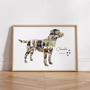 Pet Photo Collage Dog Photo Collage Template Dog Mom Gift Pet Loss Frame Labrador Photo Collage Custom Pet Memorial Gift Labrador Art Canva