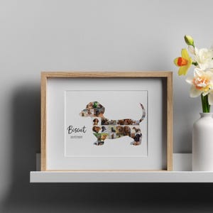 May include: A framed print with a dachshund dog silhouette composed of multiple dog photographs. The print includes the name "Biscuit" and the date 02/17/2015. The frame is light brown, and the print is displayed on a white shelf.