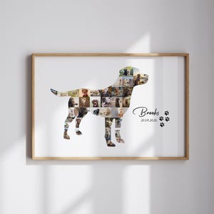Op de afbeelding: Een ingelijste fotocollage van een hondensilhouet, gemaakt van veel kleinere hondenfoto's. De naam van de hond, "Brooks", en de datum "20.04.2025" staan onder de afbeelding.
