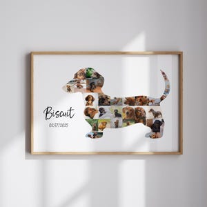 May include: A framed print with a dachshund shape composed of various dog photographs. The name "Biscuit" and the date "02/17/2025" are written in black script. The frame is a light brown colour.