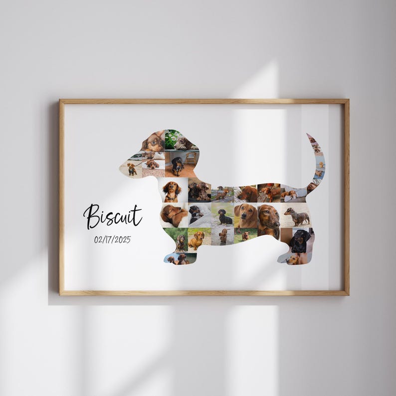 May include: A framed print with a dachshund shape composed of various dog photographs. The name "Biscuit" and the date "02/17/2025" are written in black script. The frame is a light brown colour.