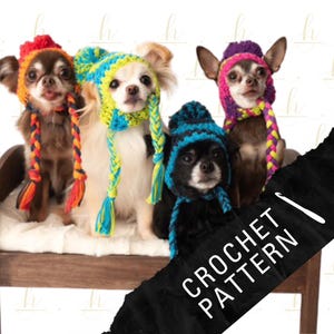 May include: Four small dogs wearing colorful crocheted hats. The dogs are sitting on a wooden bench with a black fabric overlay that says "CROCHET PATTERN".