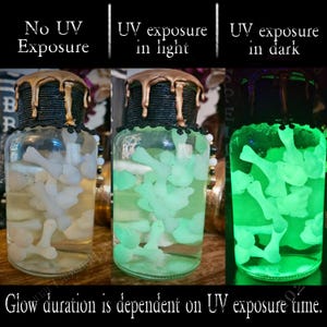 Op de afbeelding: Drie glazen potten met zwarte deksels en gouden was die langs de zijkanten druppelt. De potten bevatten witte botvormige objecten die groen oplichten onder UV-licht. De tekst op de potten luidt "Geen UV-blootstelling", "UV-blootstelling in licht" en "UV-blootstelling in het donker". De tekst "De duur van de gloed is afhankelijk van de UV-blootstellingstijd." staat onder de potten.