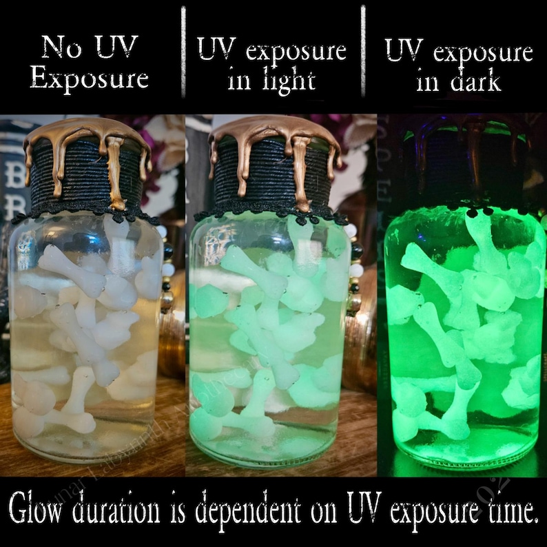 Op de afbeelding: Drie glazen potten met zwarte deksels en gouden was die langs de zijkanten druppelt. De potten bevatten witte botvormige objecten die groen oplichten onder UV-licht. De tekst op de potten luidt "Geen UV-blootstelling", "UV-blootstelling in licht" en "UV-blootstelling in het donker". De tekst "De duur van de gloed is afhankelijk van de UV-blootstellingstijd." staat onder de potten.