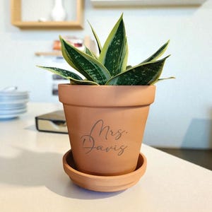 May include: A potted snake plant with green and yellow leaves sits in a terracotta pot with a matching saucer. The pot is inscribed with the name "Mrs. Davis" in a cursive font. The plant is on a white surface.