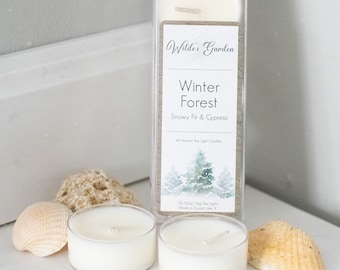 Winter Forest | Tea Lights | Pack of 10 | Snowy Fir and Cypress Scented | Wilde's Garden