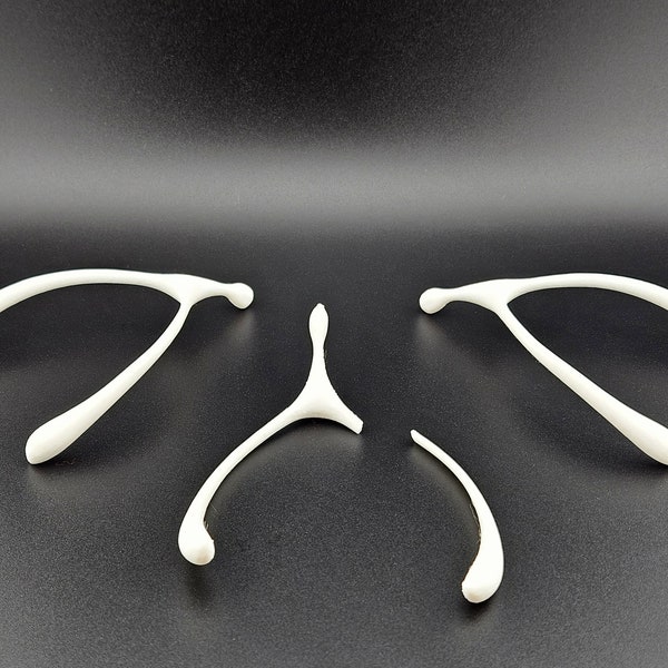 Vegan Wishbone, Funny Thanksgiving gift, Breakable plastic wishbone, Unique specialty present for family, Vegetarian holiday, Hilarious