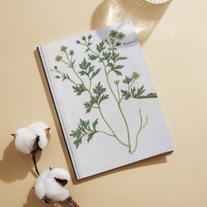 Rijksmuseum Art Hardcover Journal