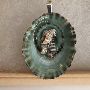 Real Limpet Shells Pendant