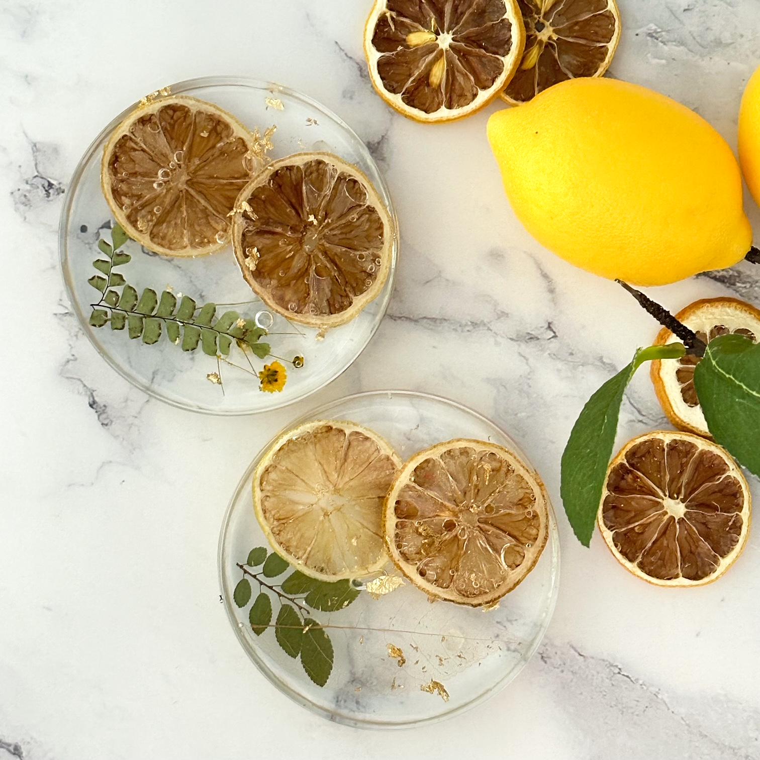 Citrus Coasters, Citrus Home Decor, Dried Fruit Decoration, Lemon Slice Decor, Table Protector Round, Fruit Home Decor, Set of Coasters, CST