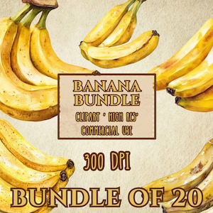 Banana Clip Art Bundle Of 20 High Resolution Transparent Background 300 DPI PNG Files