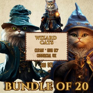 Wizard Cats Bundle Of 20 High Resolution 300 DPI Transparent Background PNG Files