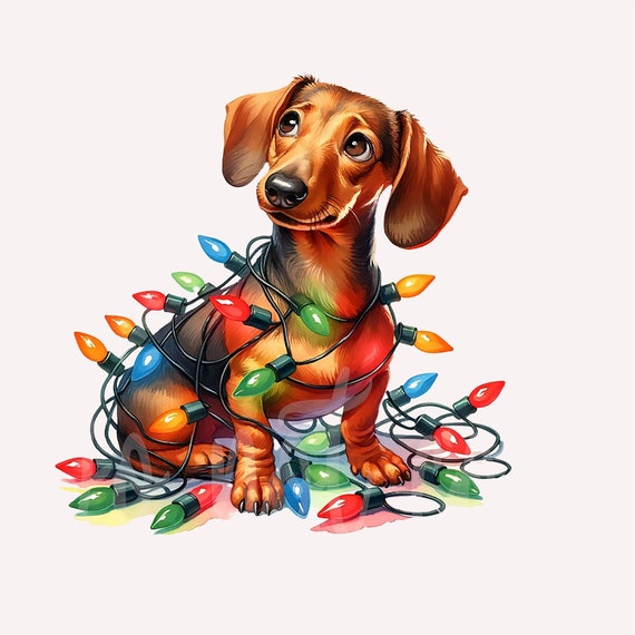 Wiener dog store cheap