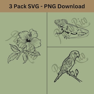 Puerto Rico PNG, Cricut Svg, Puerto Rico Svg, Kikker Svg, Boricua Svg, Latina Svg, Flor de Maga Svg