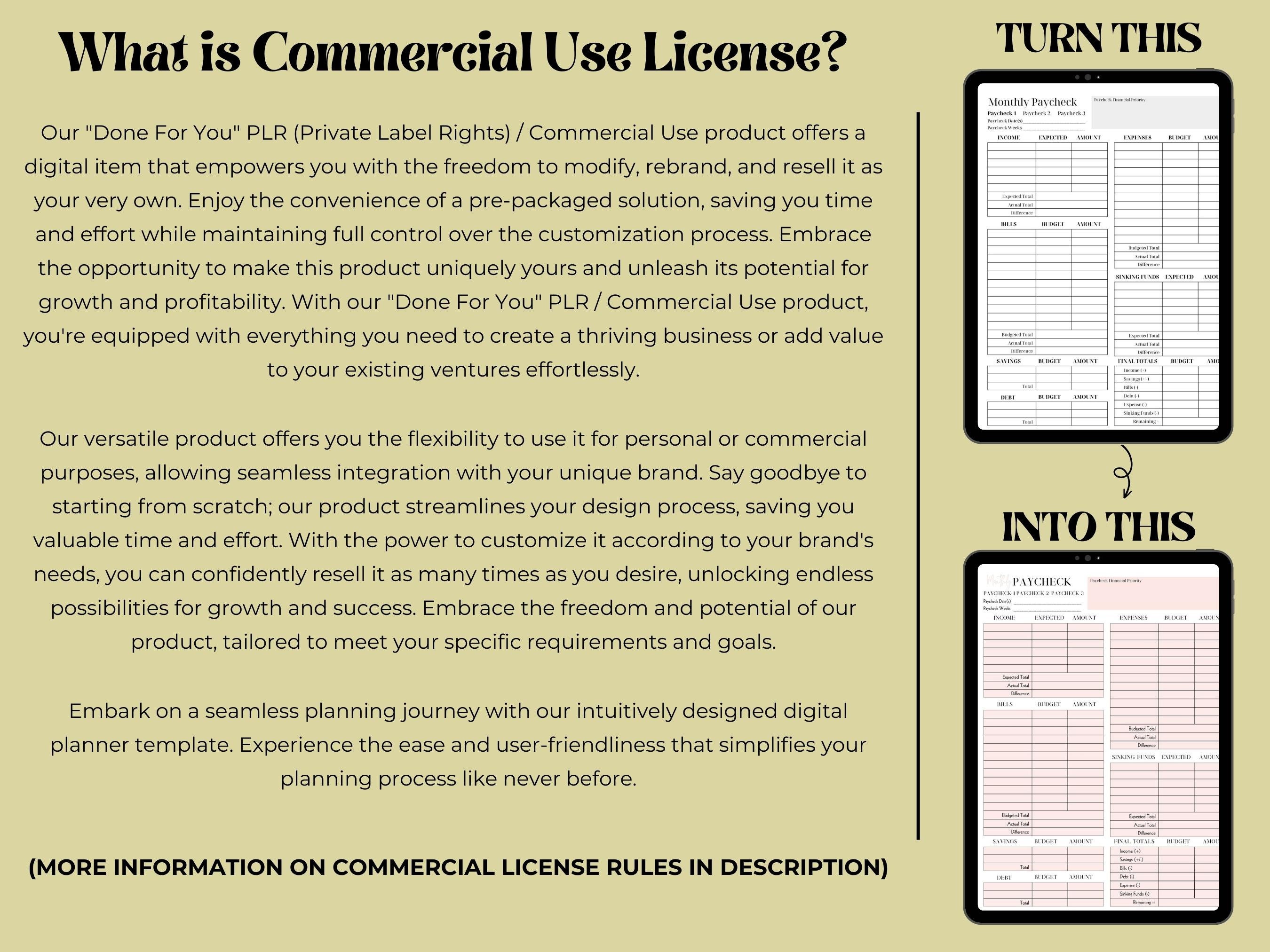PLR Budget Planner Editable Template Finance Planner Kit Canva ...