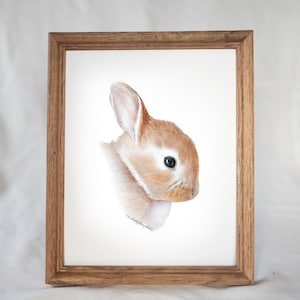 Impression de lapin - lapin peint à la main - lapin aquarelle - peint à la main - portrait d'animaux - bébés animaux - impression d'art - décoration de chambre d'enfant
