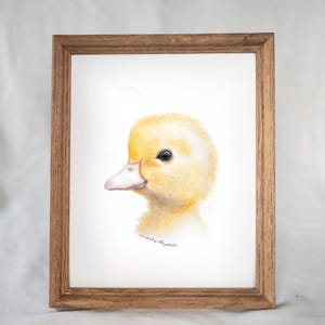 Duckling - Baby Duckling - Hand Painted - Animal Portrait - Watercolour Duckling - Baby Animals - Art Print - Nursery Decor
