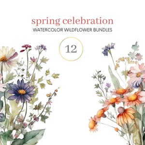 Wildflower Bundle Watercolor Clipart Botanical Wild flower Clip art Spring Meadow Watercolor Rustic Clipart Elegant Blooms