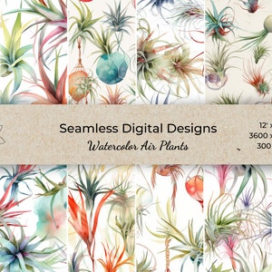 Air Plant aquarel bloemen digitale papieren Airplant aquarel bloemen plakboek papieren naadloze patroon digitale achtergrond Tumbler Wrap