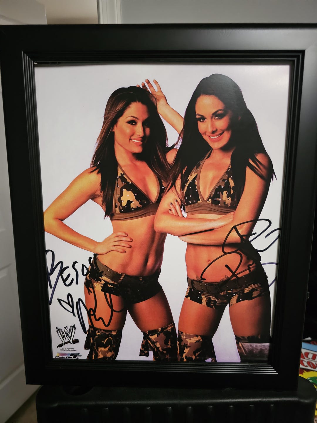 WWE Nikki Bre Bella Autographed Photo 11x14 Framed Etsy