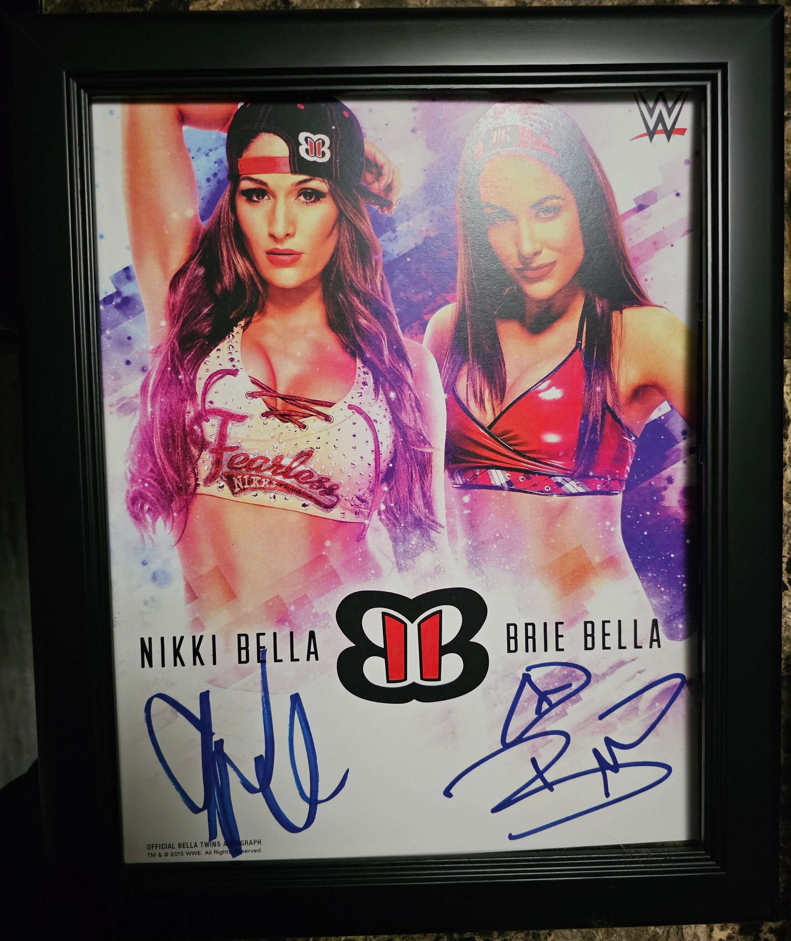 WWE Nikki Bre Bella Autographed Photo 11x14 Framed Etsy