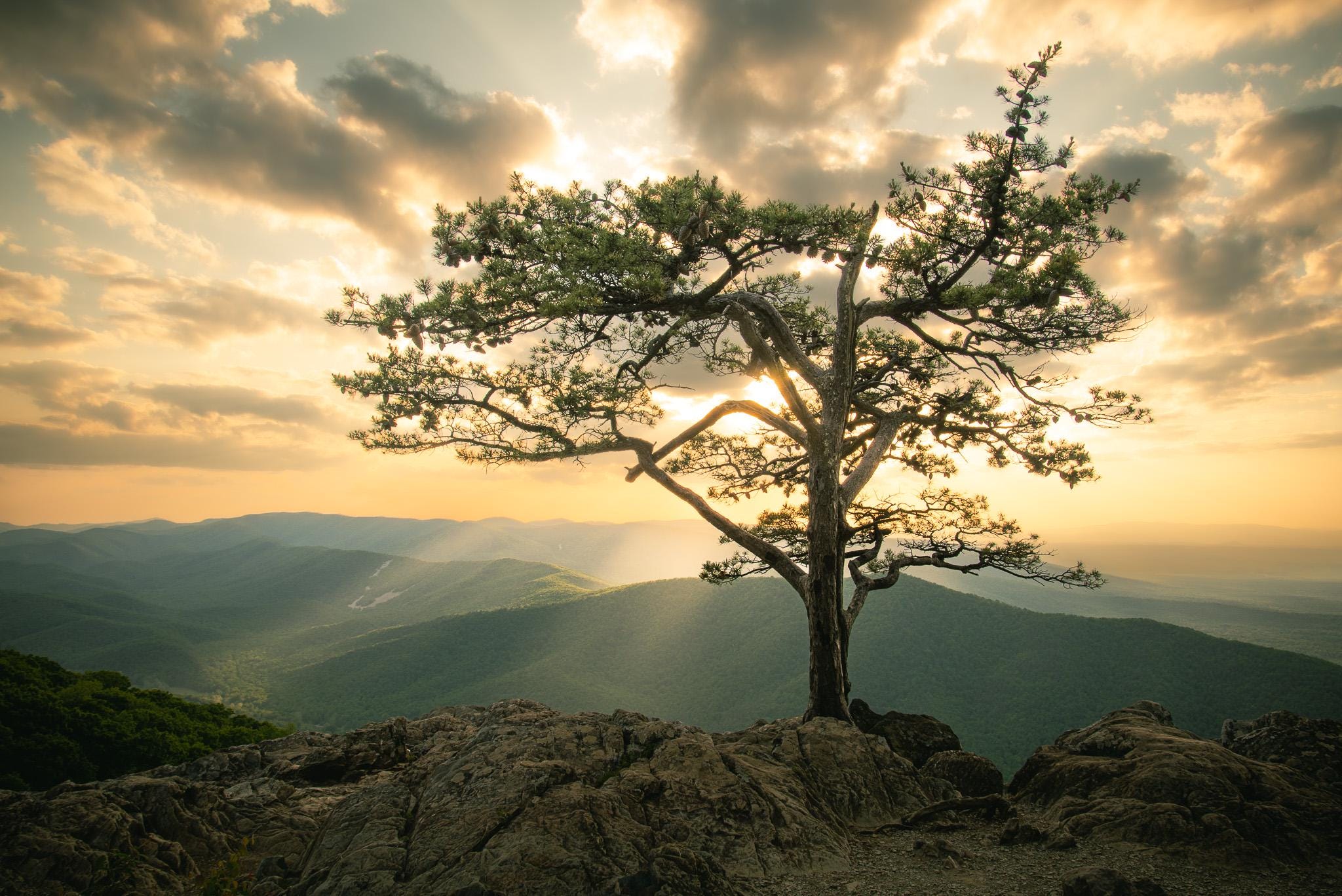 Raven’s Roost Overlook