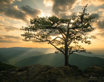 Blue Ridge Parkway Sunset Photograph, Ravens Roost, Scenic Overlook, Shenandoah