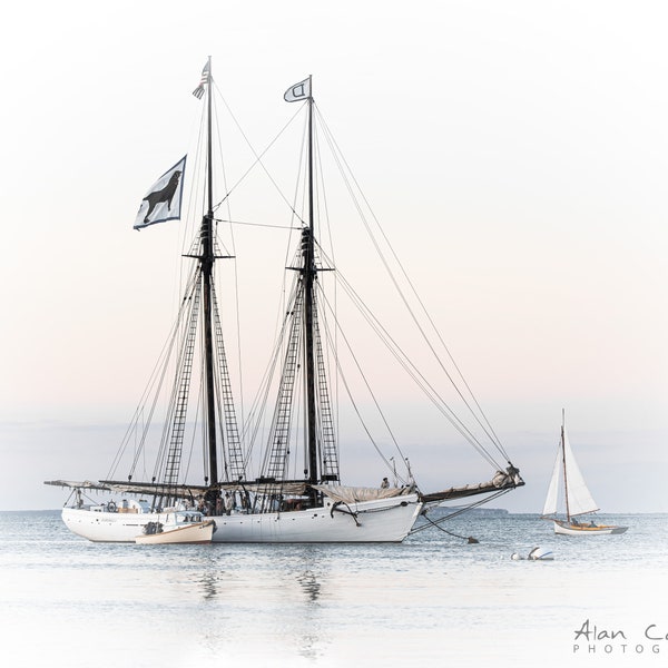 Marthas Vineyard Alabama Tall Ship Photograph Vineyard Haven Art Print