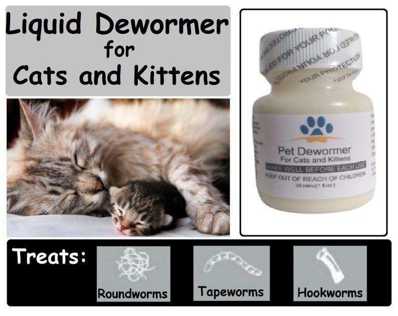 Pet Dewormer Tapeworm Plus for Cats and Kittens - Etsy