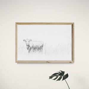 Angus Cattle Sketch Print: Farmhouse Wall Art (Digital Download)