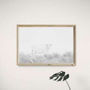 PRINTABLE wall art, digital download, cattle sketch