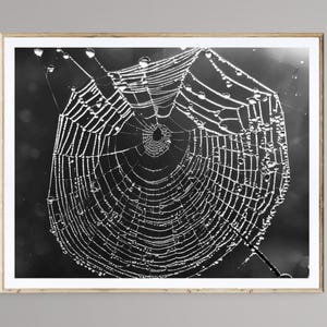 Spider Web, Spider Web Photography, Looks great on Canvas, Printable Wall Art