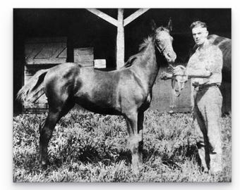 May include: A black and white vintage photograph showing a young horse standing in a grassy area. A person stands beside the horse, holding a lead rope attached to the horse's halter. The scene is set in front of a wooden structure with panels.