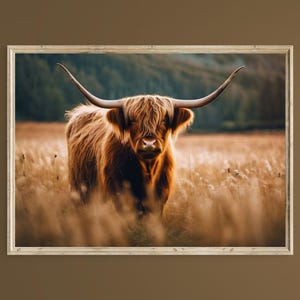 May include: A brown Highland cow with long, shaggy fur and large horns stands in a field of tall grass. The cow is looking directly at the camera.