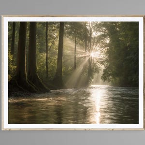 May include: A framed photograph depicting a river in a forest, with sunlight breaking through the trees. The light creates a golden effect on the water and the surrounding greenery. The image is presented in a light-coloured wooden frame.