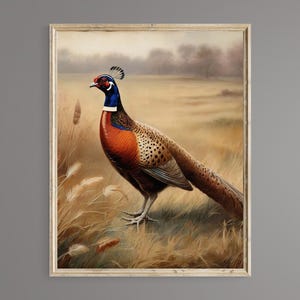 Pheasant, Pheasant download, Printable Wall Art