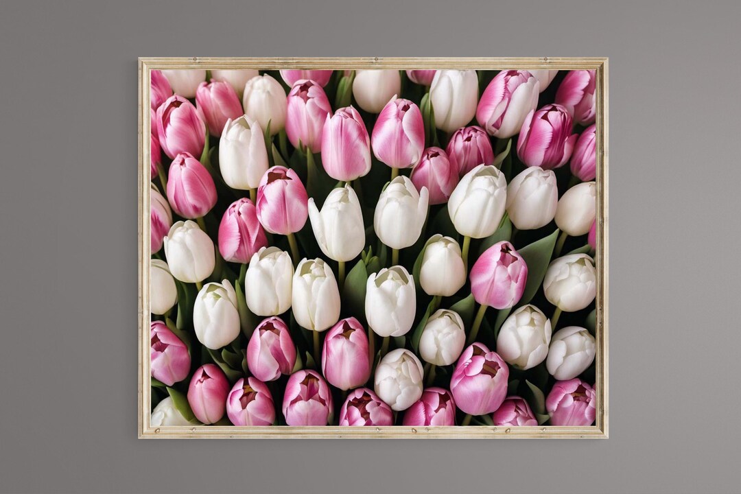 Tulips, Tulip Photography, Printable Wall Art, Digital Download, Tulips ...