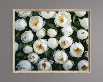 Peonia, arte murale STAMPABILE, download digitale, Peonia bianca