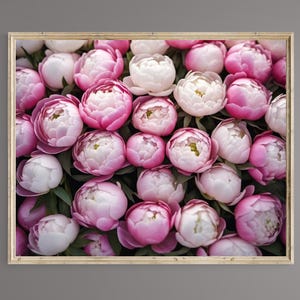 Peony buds, Peony Download, Printable Wall Art