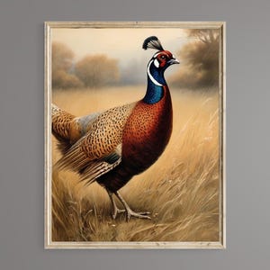 Pheasant, vintage Pheasant, Printable Wall Art, Digital Download, Pheasant, Vintage