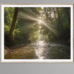 Könnte beinhalten: Gerahmtes Landschaftsfoto eines Flusses, der durch einen Wald fließt. Sonnenlicht scheint durch die Bäume und erzeugt einen hellen, strahlenden Effekt. Das Wasser reflektiert das Licht, und die Bäume sind üppig grün.