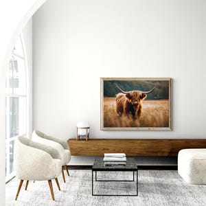 Long Haired Cattle, Scottish Highland Cattle, Digital Download image 3