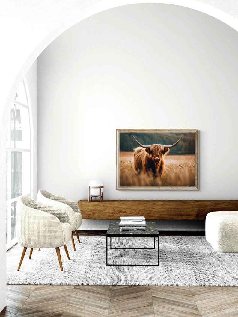 Long Haired Cattle, Scottish Highland Cattle, Digital Download image 3