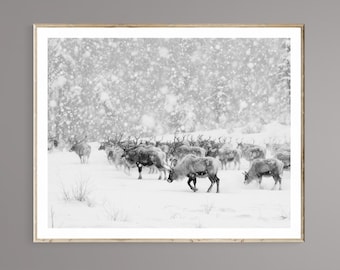 Reindeer in snow printable: Winter scene (Digital Download)