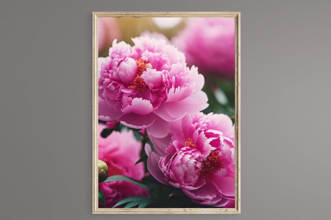Pink Peony Print: Floral Wall Art (digital Download) - Etsy