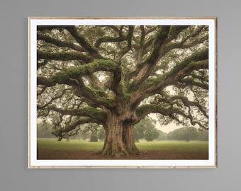 Tree Photography Print: Nature Art, Digital Download