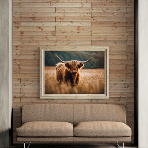 Long Haired Cattle, Scottish Highland Cattle, Digital Download image 4