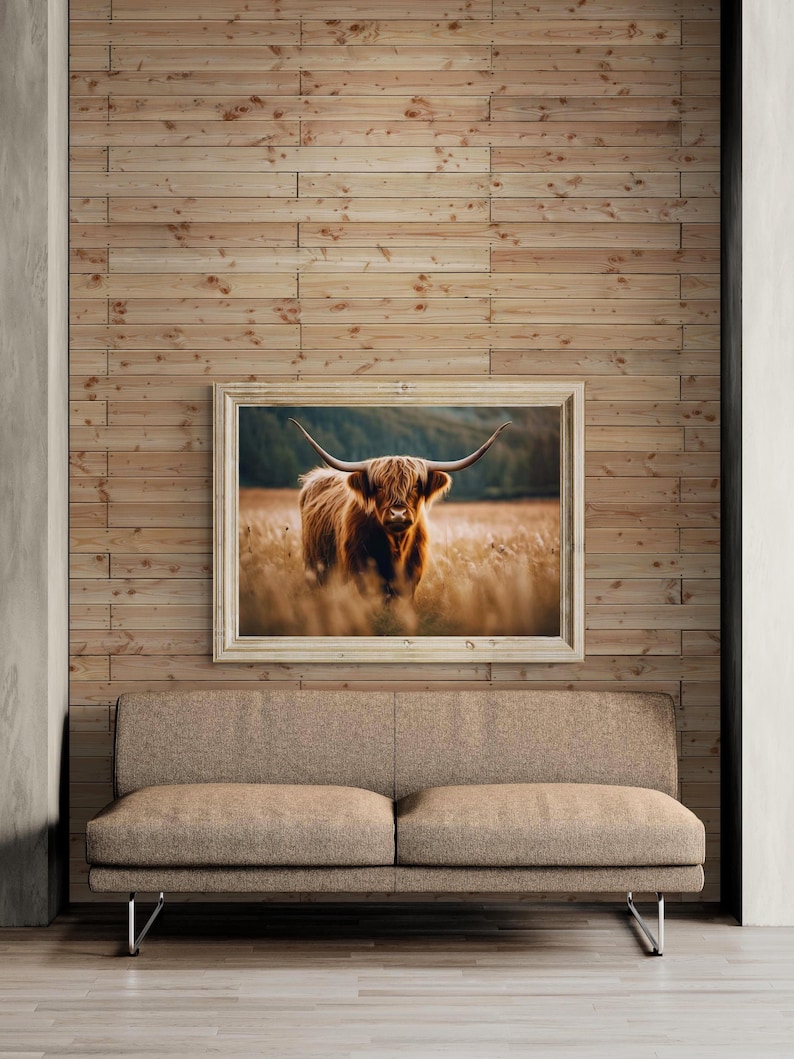 Long Haired Cattle, Scottish Highland Cattle, Digital Download image 4