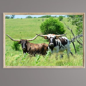 Printable Wall Art, Digital Download, Longhorns - Kansas Plains