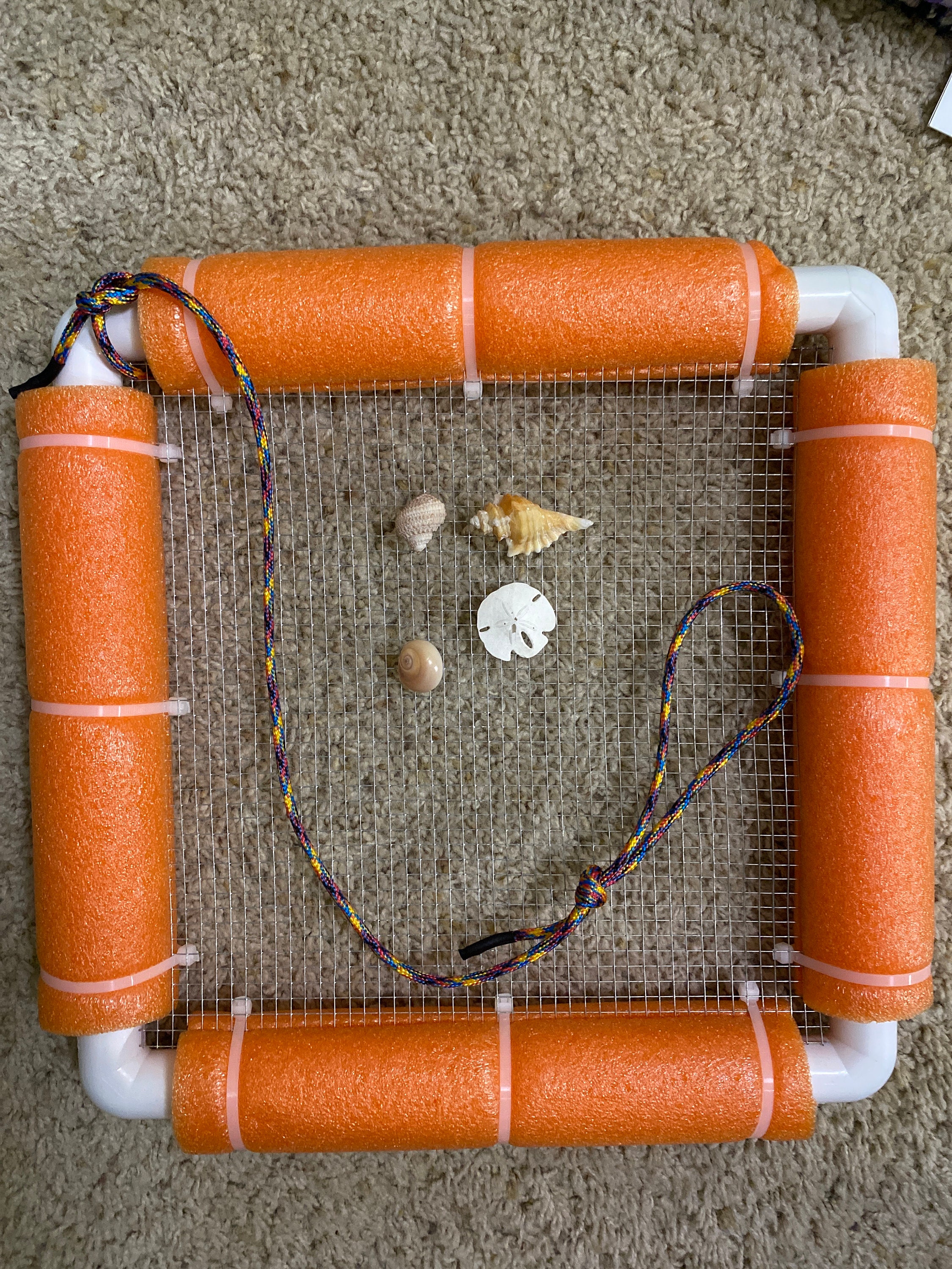 Shell and Sharks Tooth Sifter Etsy